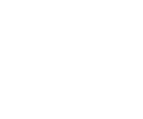 NSI logo